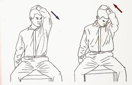 estiramiento-elevador-escapula-1